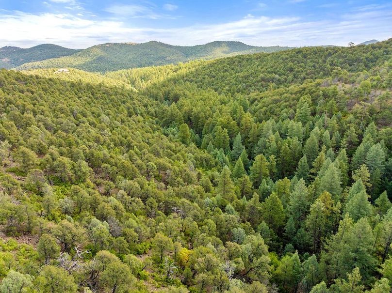 DJI_20250924103342_0064_D