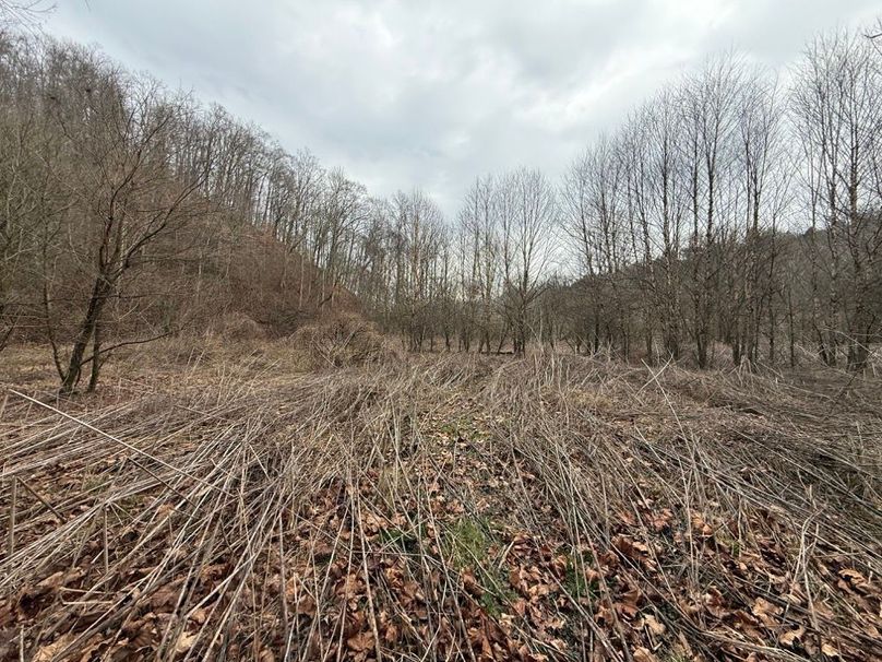019 large flat creekbottom field in then northwest part of the property