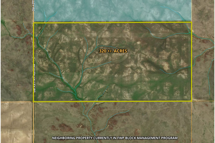 parcel map