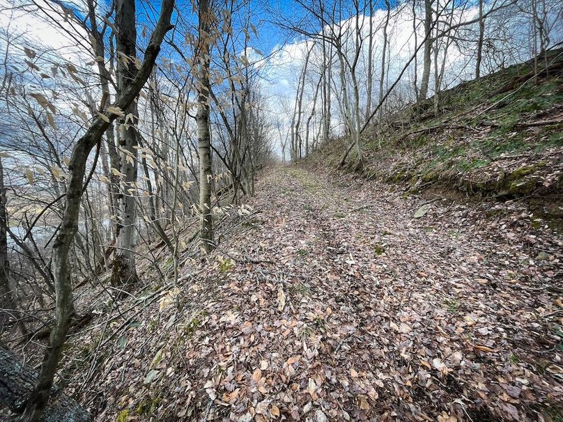 Tioga__NY_109.7_Burris_Photos_48