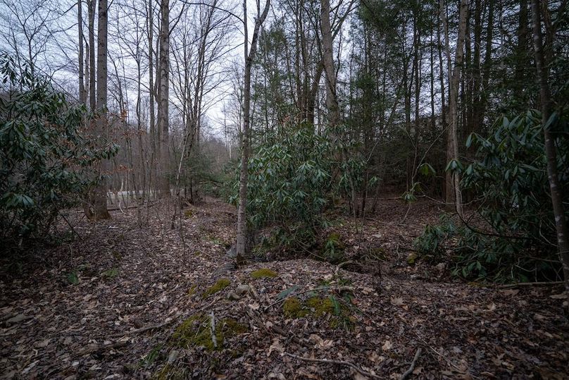 Somerset, 20, Hostetler-29