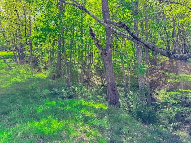 Tyler, WV 161.03 AC Fitzsimmons-076