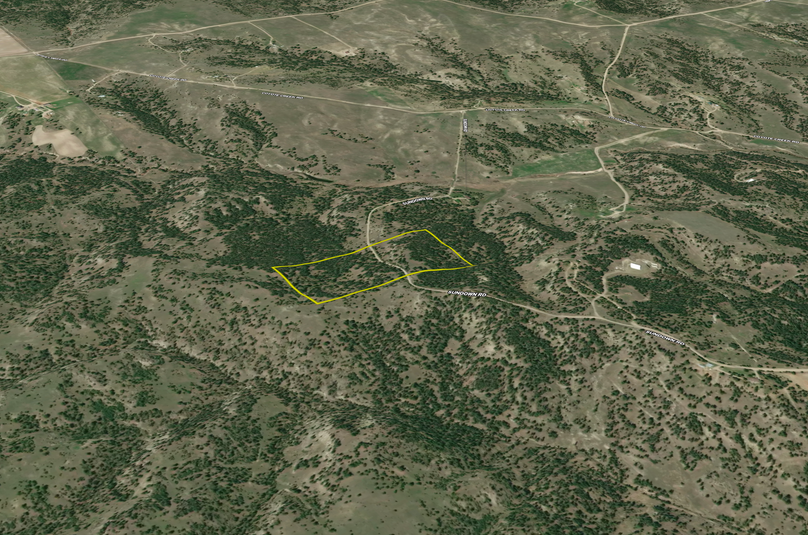 Screenshot 2023-11-06 at 10.38.34 AM