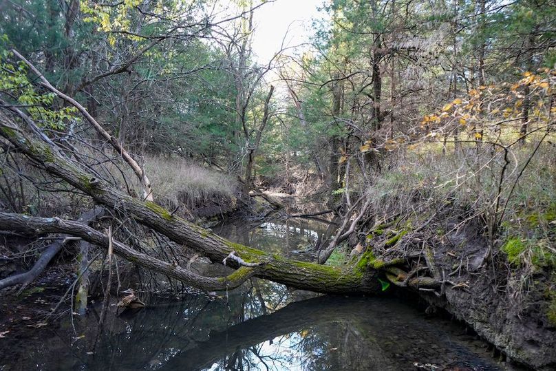 Dickinson Co, 154.5_009