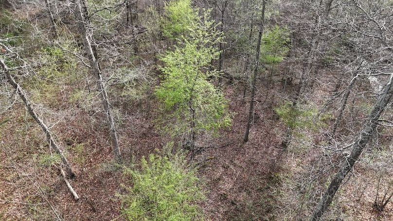 DJI_20260403174636_0232_D