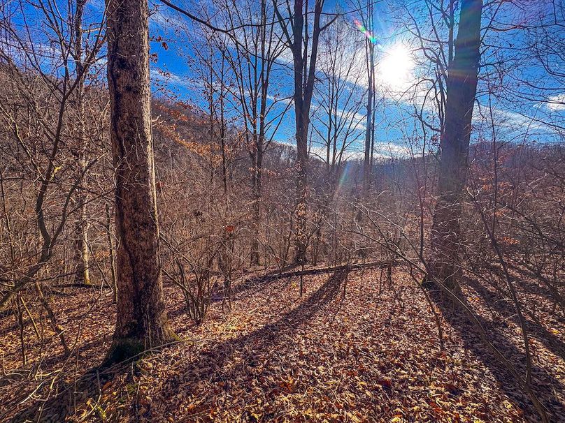 Lewis, WV 82.87 AC Barger-11