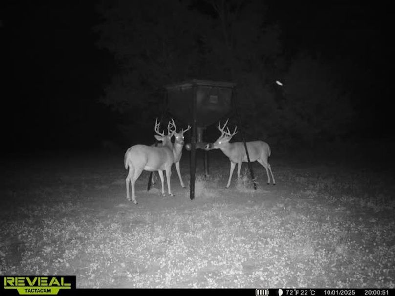 865509050100068-100-2-10012025200108-w1004004