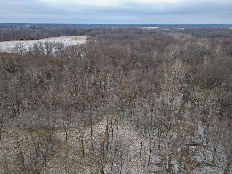 vandalia 450 (2)-1157