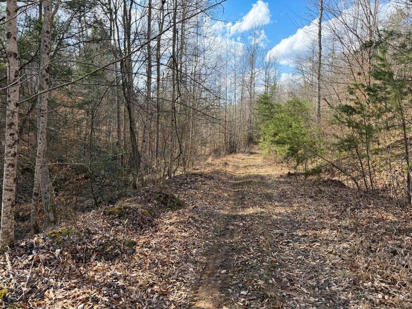008 trail system allowing easy access to all acreage-2