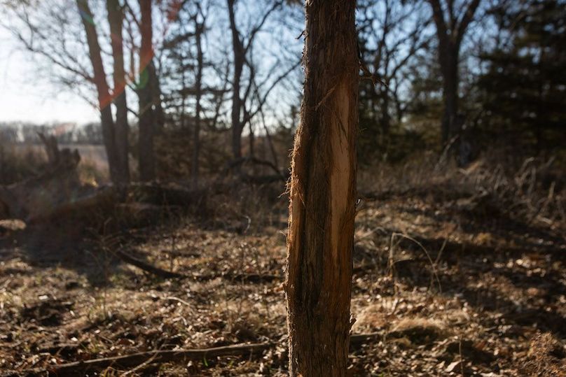 WORTH CO MO 537.44_10