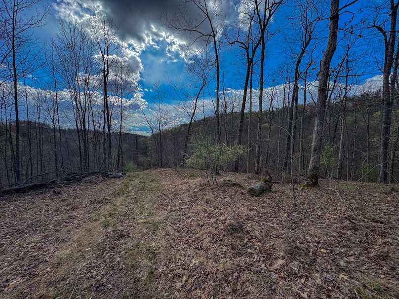 Wirt, WV 156.941 AC Full-23