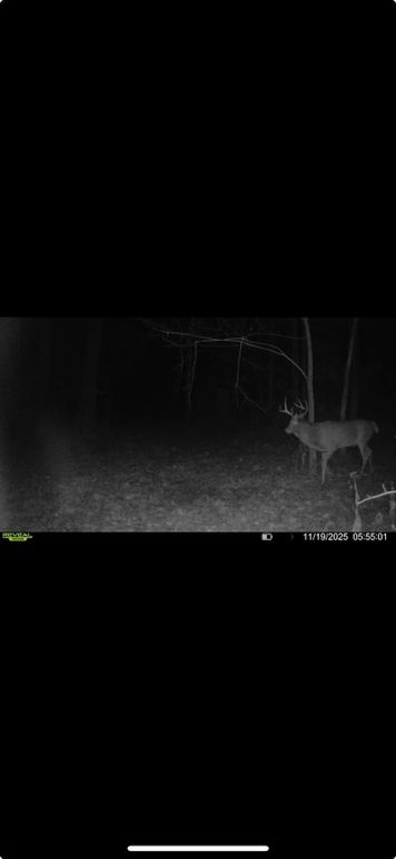 Screenshot 2026-01-06 at 4.32.34 PM