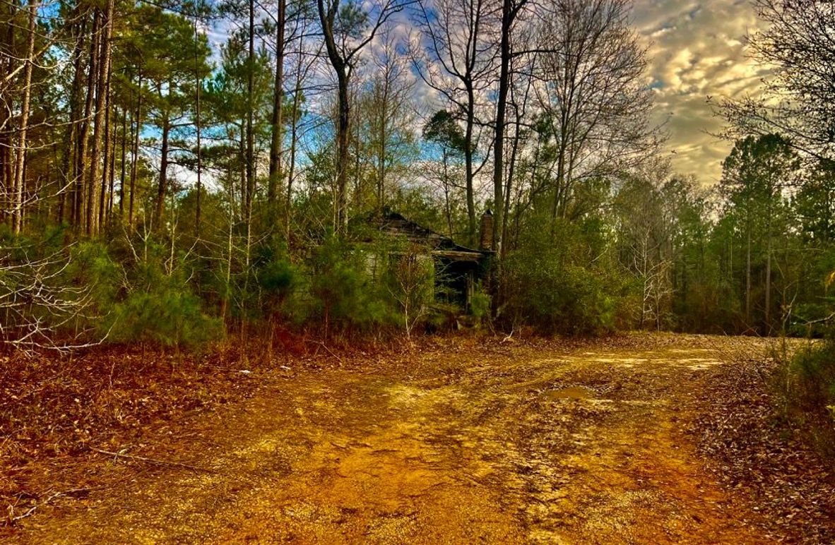 0AA05C65-CBF9-4593-A175-B2E191725812_1_201_a