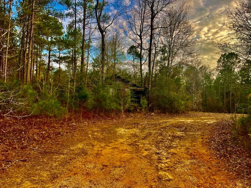 0AA05C65-CBF9-4593-A175-B2E191725812_1_201_a