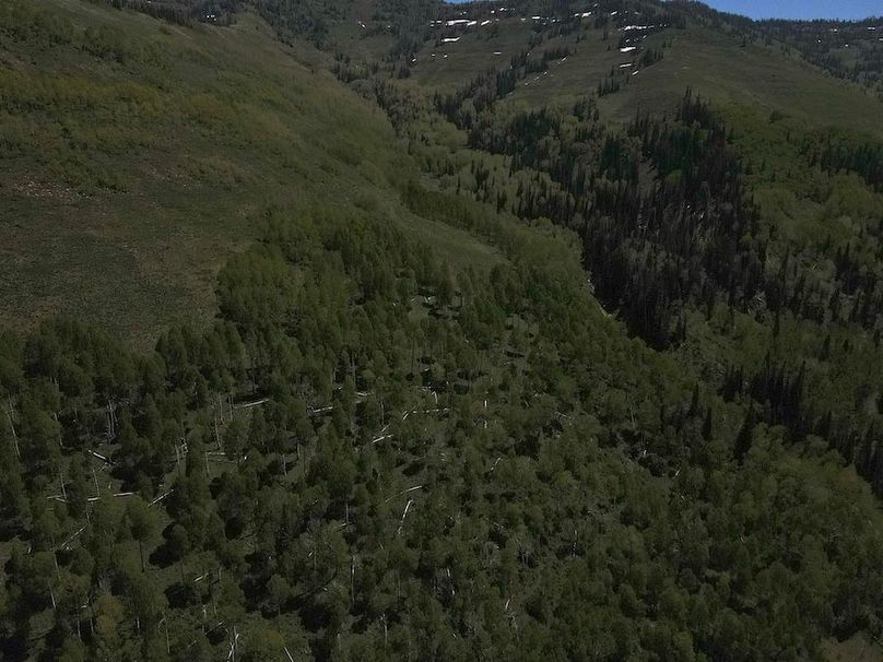 Copy of Photo_1080295616_DJI_192_jpg_4699953_0_202261412534_photo_original.jpg