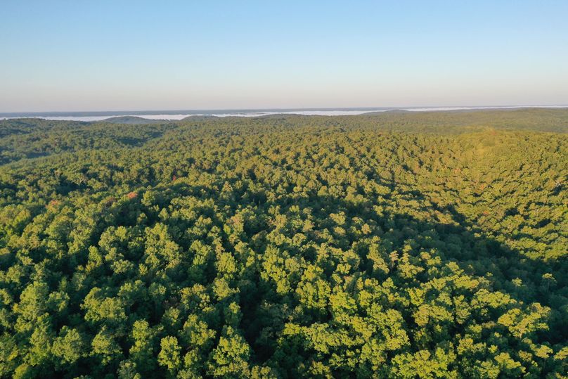 DJI_0667