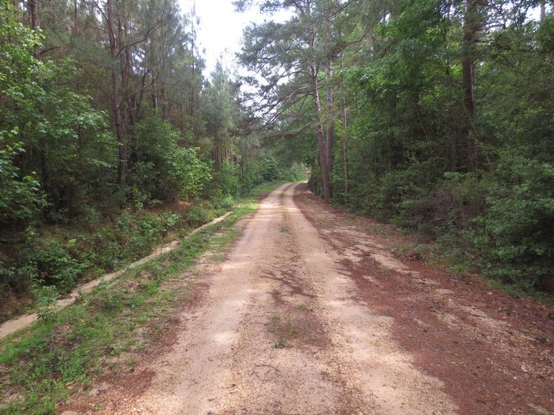 CE504969-2C63-4A75-856E-2D5B21293CFE_1_105_c