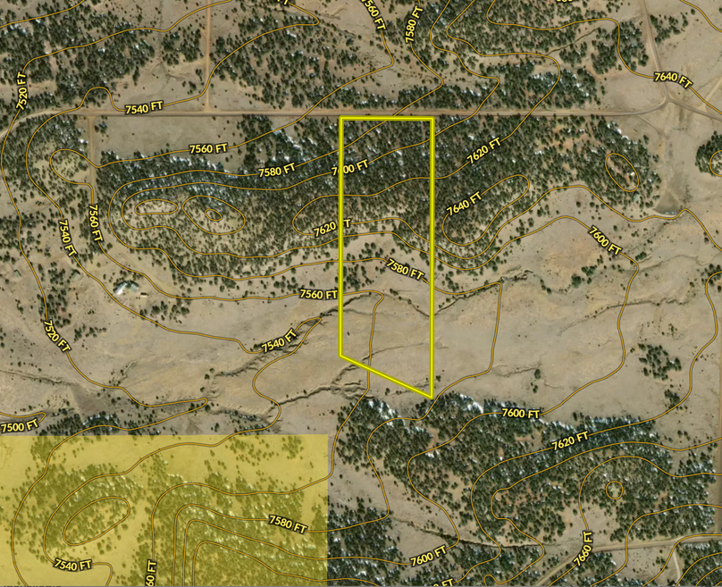 Screen Shot 2024-01-25 at 11.46.28 AM