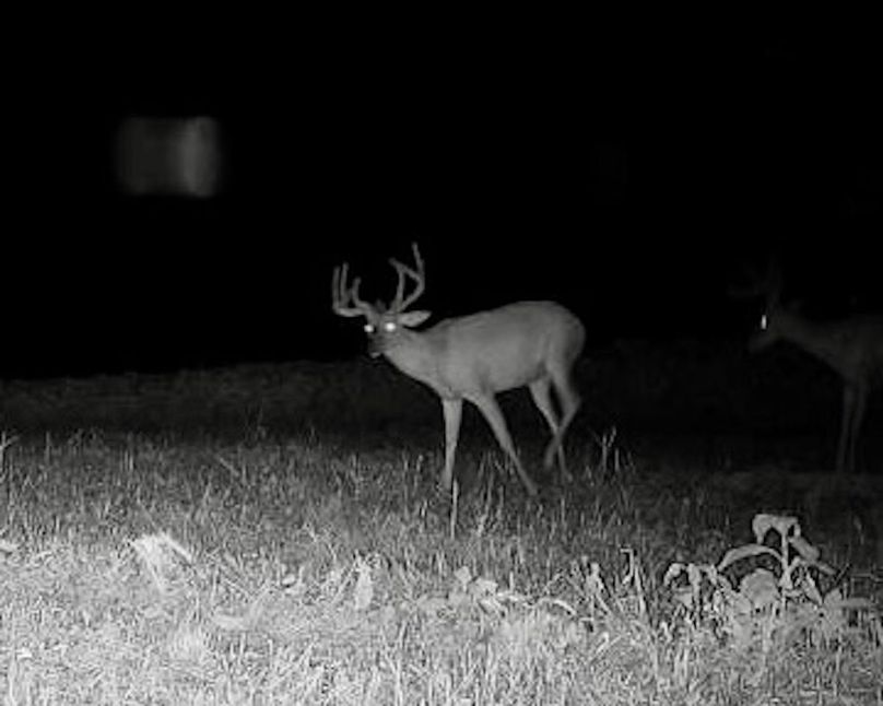 Copy of 865814041115625-80-4-08042024023718-W1000692