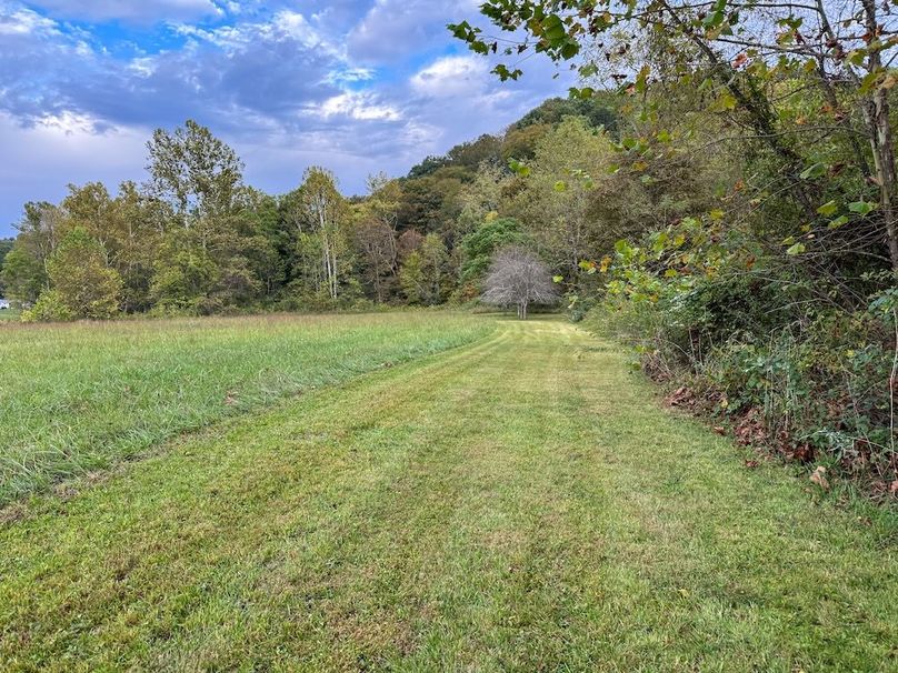 Greenup 77.28 Holsinger-45