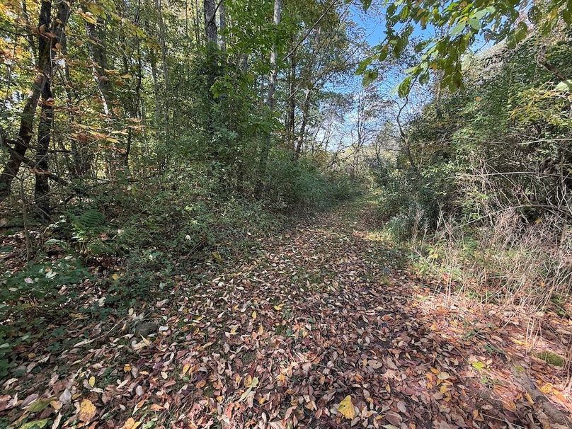 Cayuga_55.02_Herman Photo 27