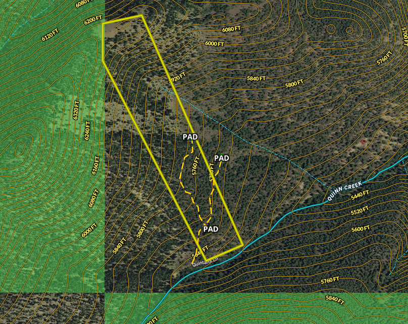 Screen Shot 2024-07-15 at 9.54.27 AM