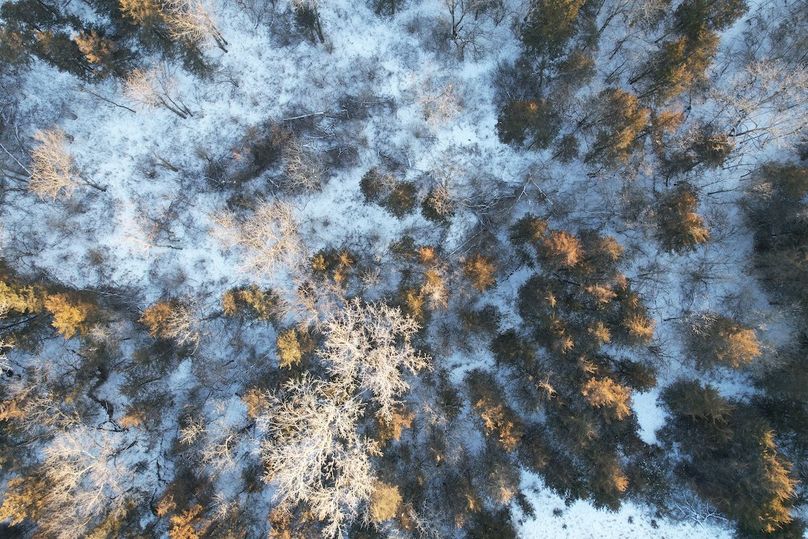 DJI_0485