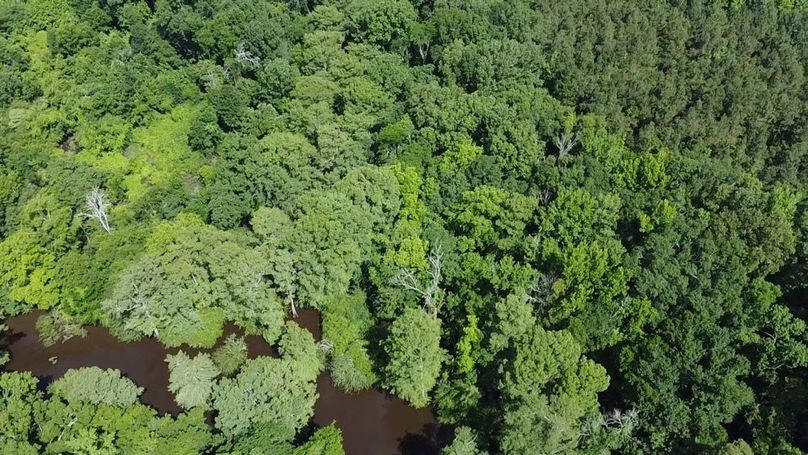 2024-06-01-10-29-55-486