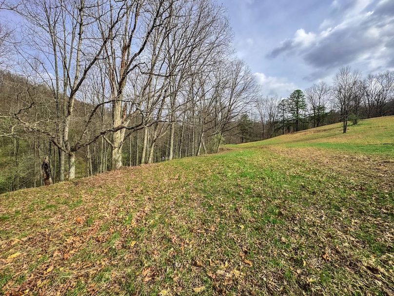 Ritchie, WV 206.08 AC Curriden-66