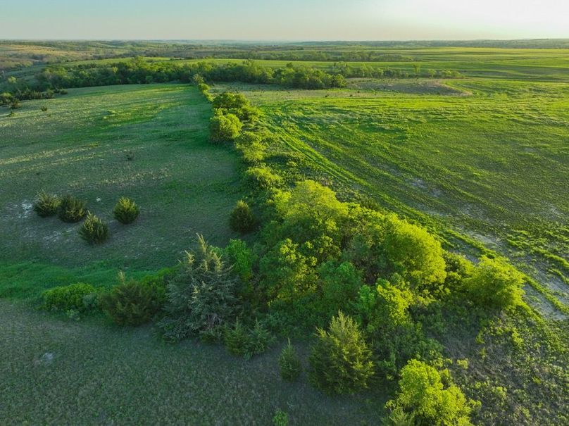 dji_fly_20250512_065516_121_1747051021629_photo