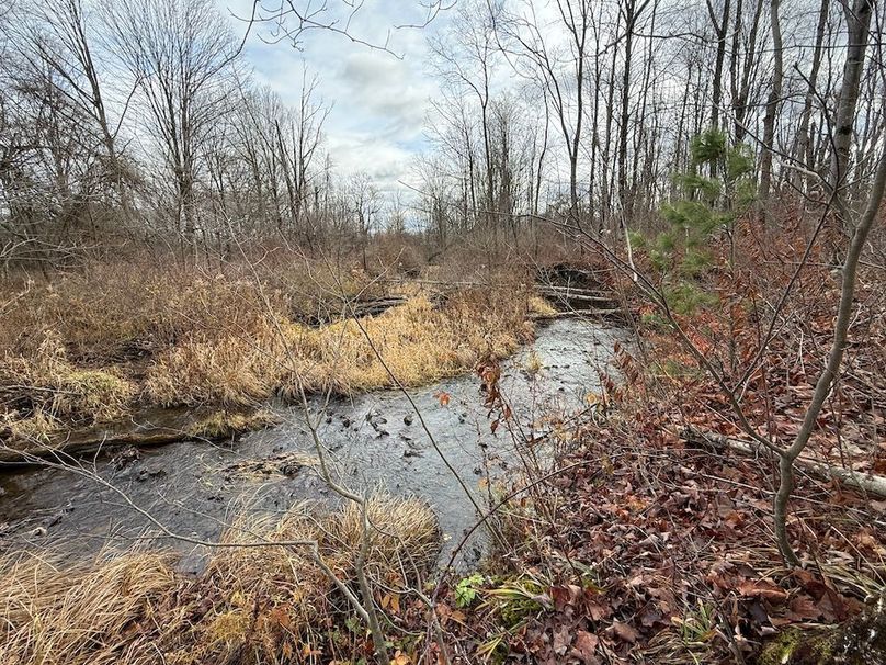 Tompkins_15.15_Galarza Photo 6