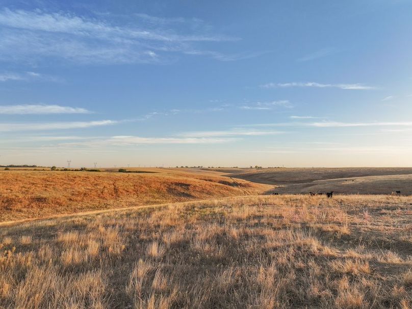 Copy of Western Sky Farms, LLC-02