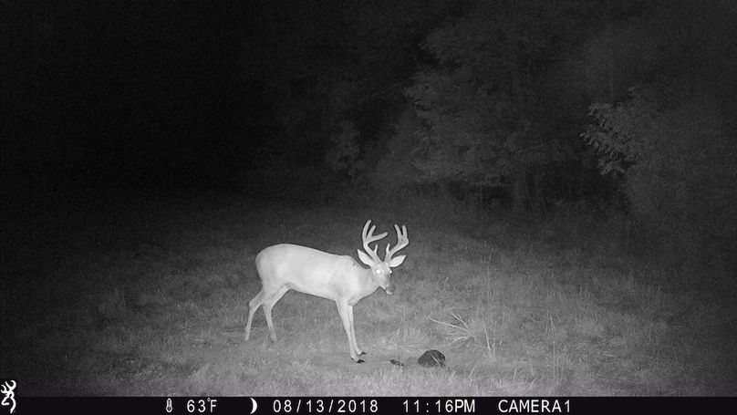 trail cam15