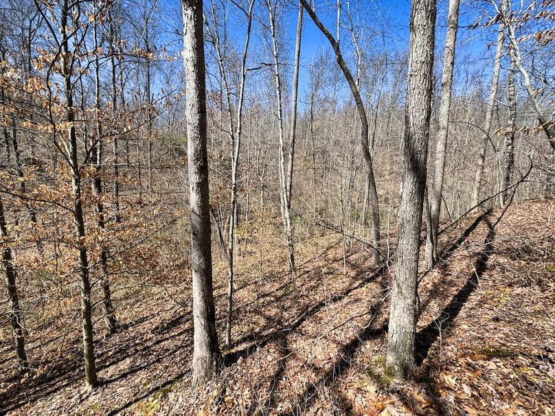 021 nice mix of timber