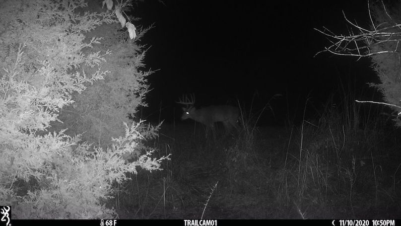 trail cam11