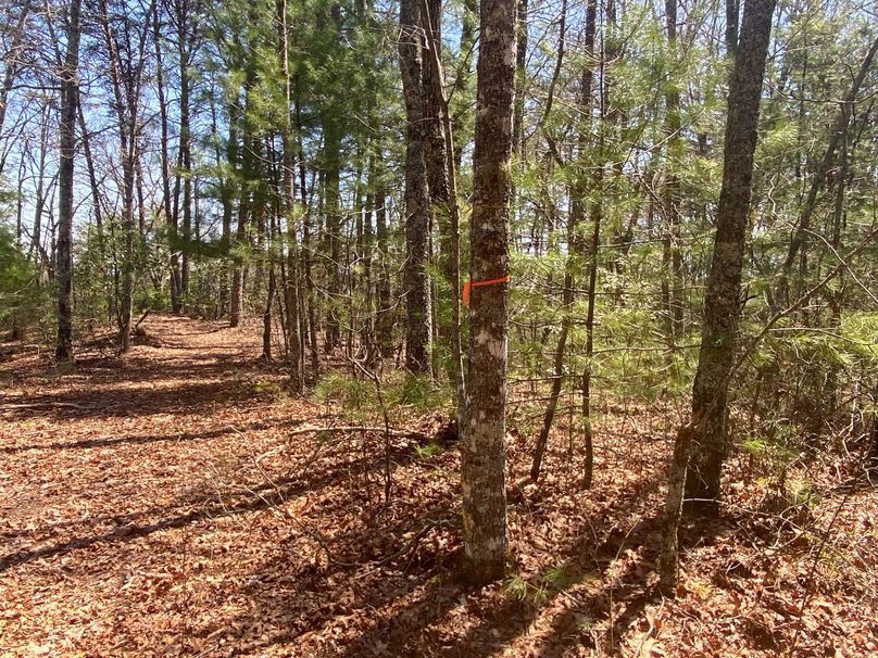 Cherokee 69.74 Stiles-38