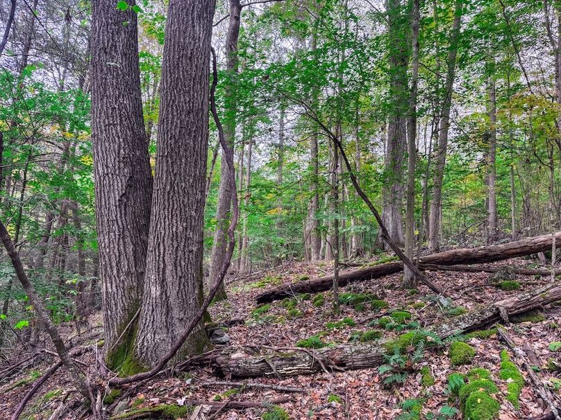 Webster, WV 13.8 AC Heldreth-13