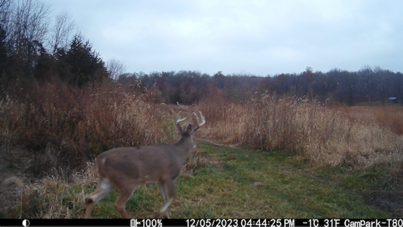 Screenshot 2024-09-04 at 2.34.43 PM