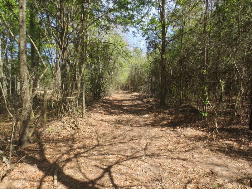 103B6C0C-AAB0-4A49-B001-656F267B21DC_1_105_c