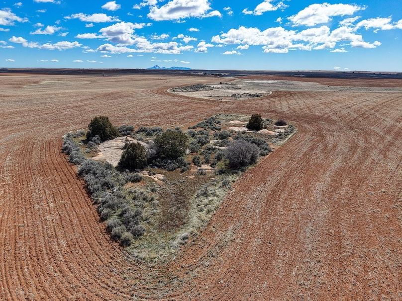 DJI_20260307125754_0090_D