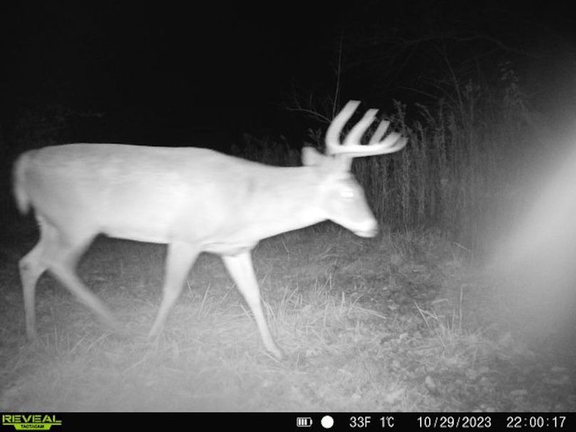 860322065128164-1-4-10292023220016-V-W1004648