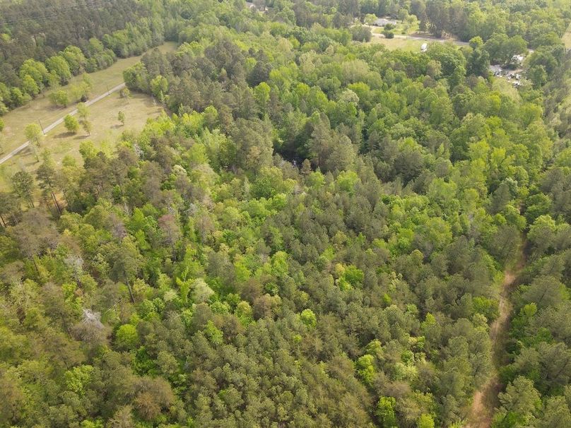 DJI_0463