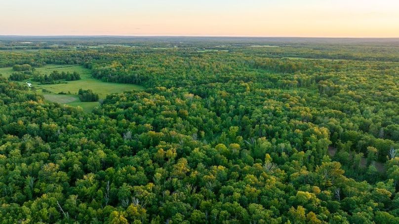 Cass MN 1095 Featured ProPhoto-51