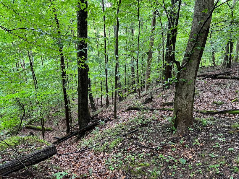 Wirt, WV 150.75 AC Tinnell-30