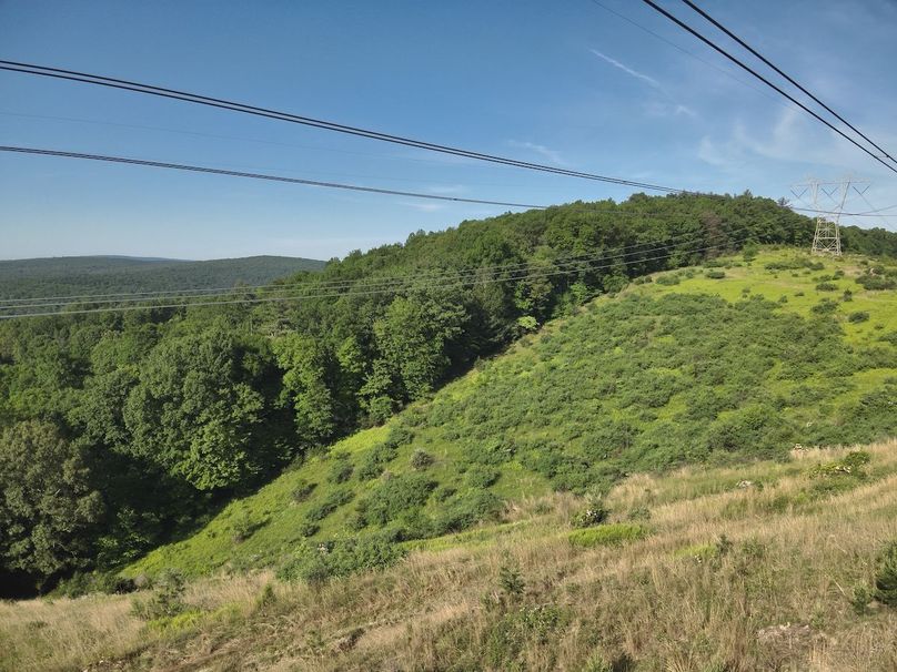 DJI_20240521083134_0013_V