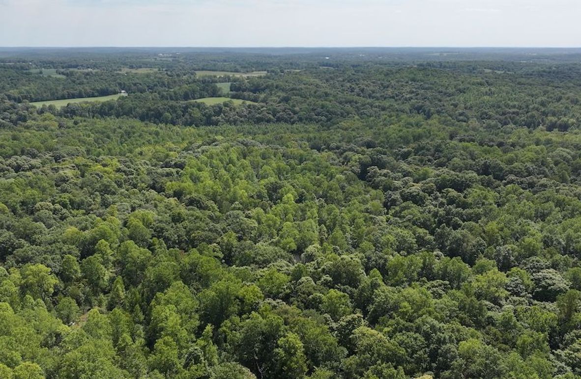 dji_fly_20240904_132802_0370_1725471195873_photo