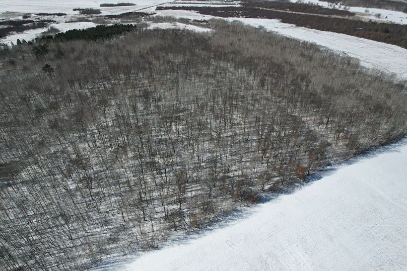 dji_fly_20260311_115204_104_1773248433208_photo (1)