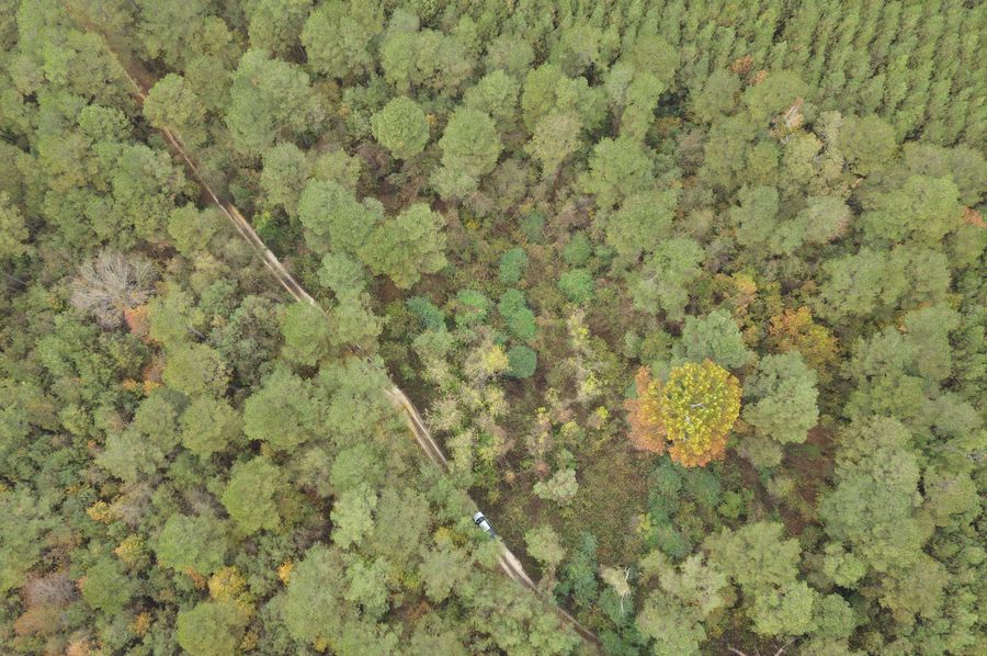 DJI_0999