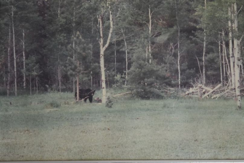 53