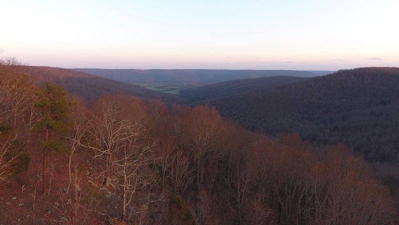 DJI_0545